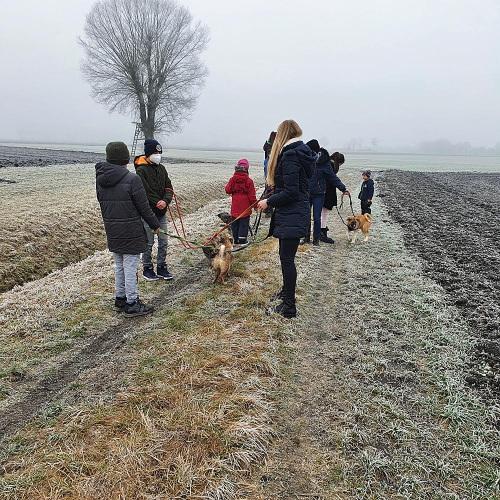 Erste Gruppenstunde der Jugendgruppe des Tierschutzvereins Donauwörth u. U. e. V. im Tierheim Hamlar.